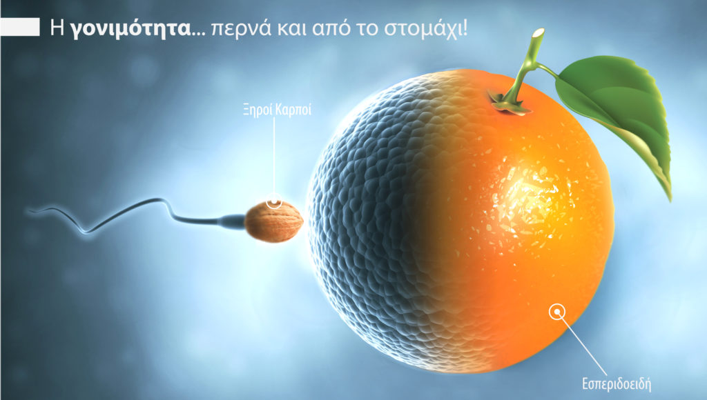 site diatrofi 1024x580