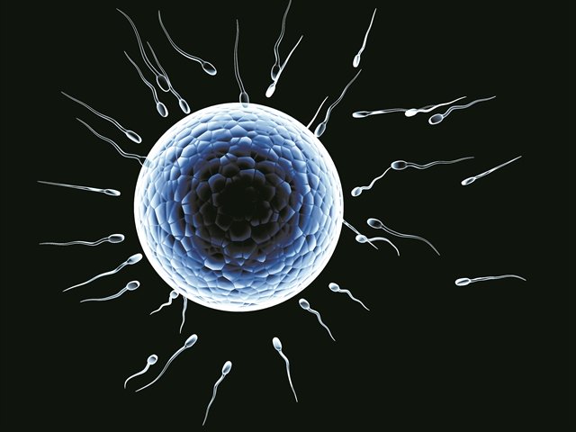 shutterstock 74521186