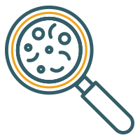 Εξειδικευμένες εξετάσεις