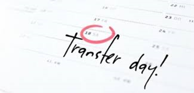 transfer day
